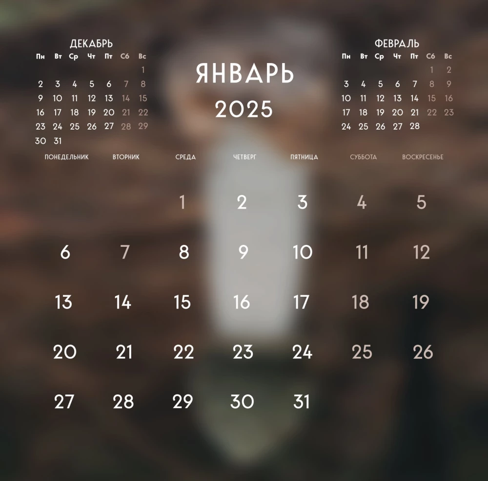 Sienas kalendārs - Ne kauna, ne sirdsapziņas. 12 neizsmeļami dabu simboli 2025. gadam